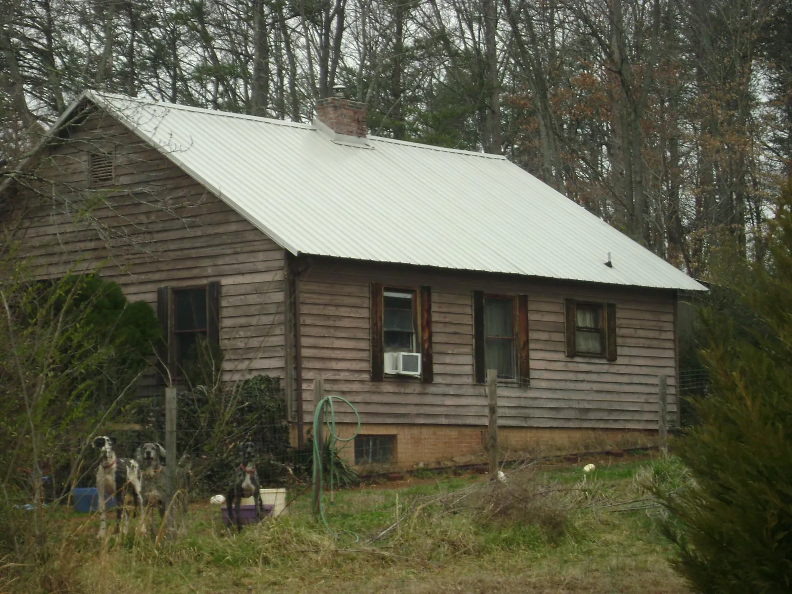 White metal roof on an old wood sided farmhouse, from a Asphalt Shingle Roof Repair job in Billings